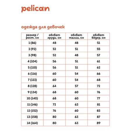 Шорты Pelican