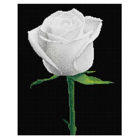 Алмазная мозаика Art sensation холст на подрамнике 40х50 см Белая роза