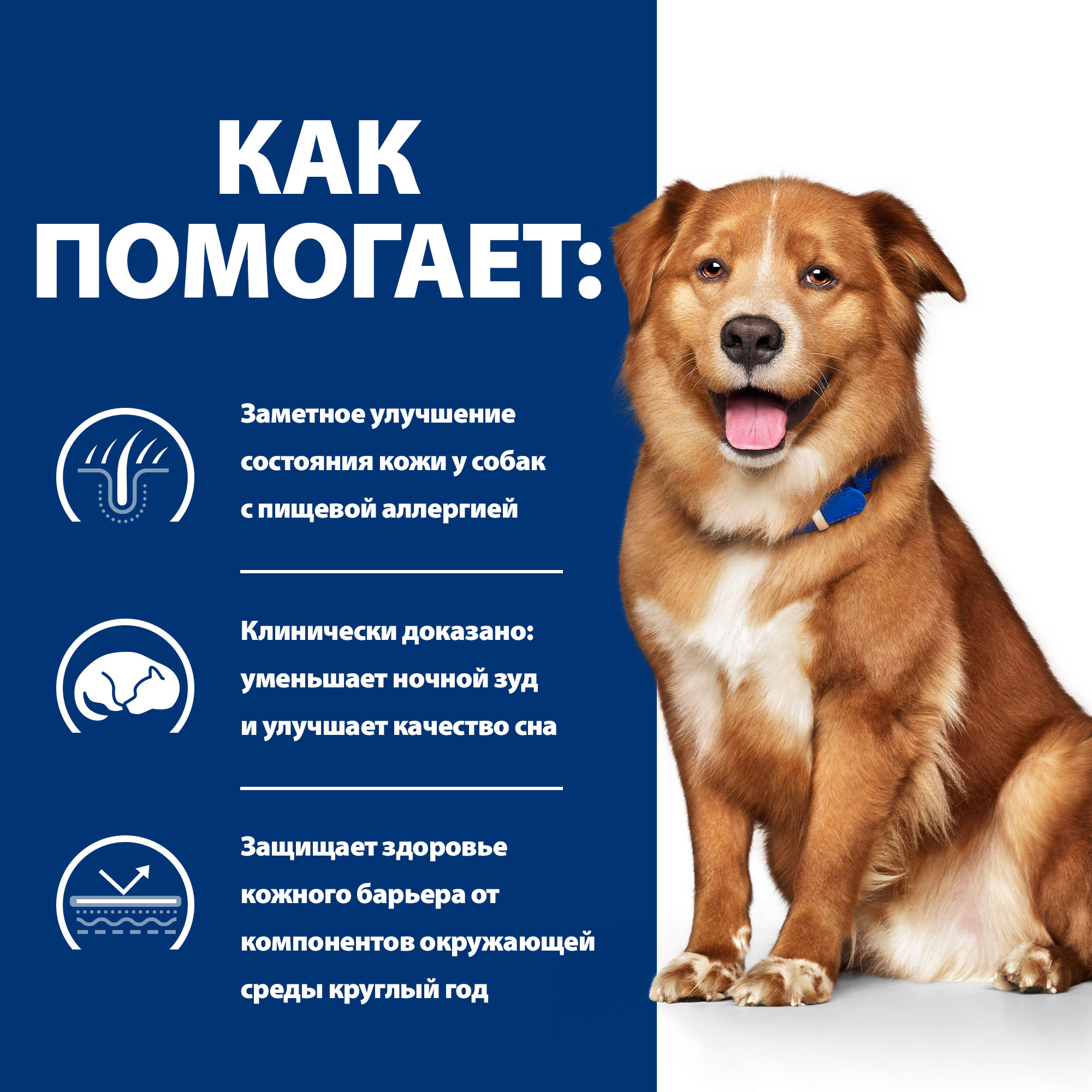 Корм для собак Hills 1.5кг Prescription Diet Derm Complete для взрослых собак при аллергии - фото 5