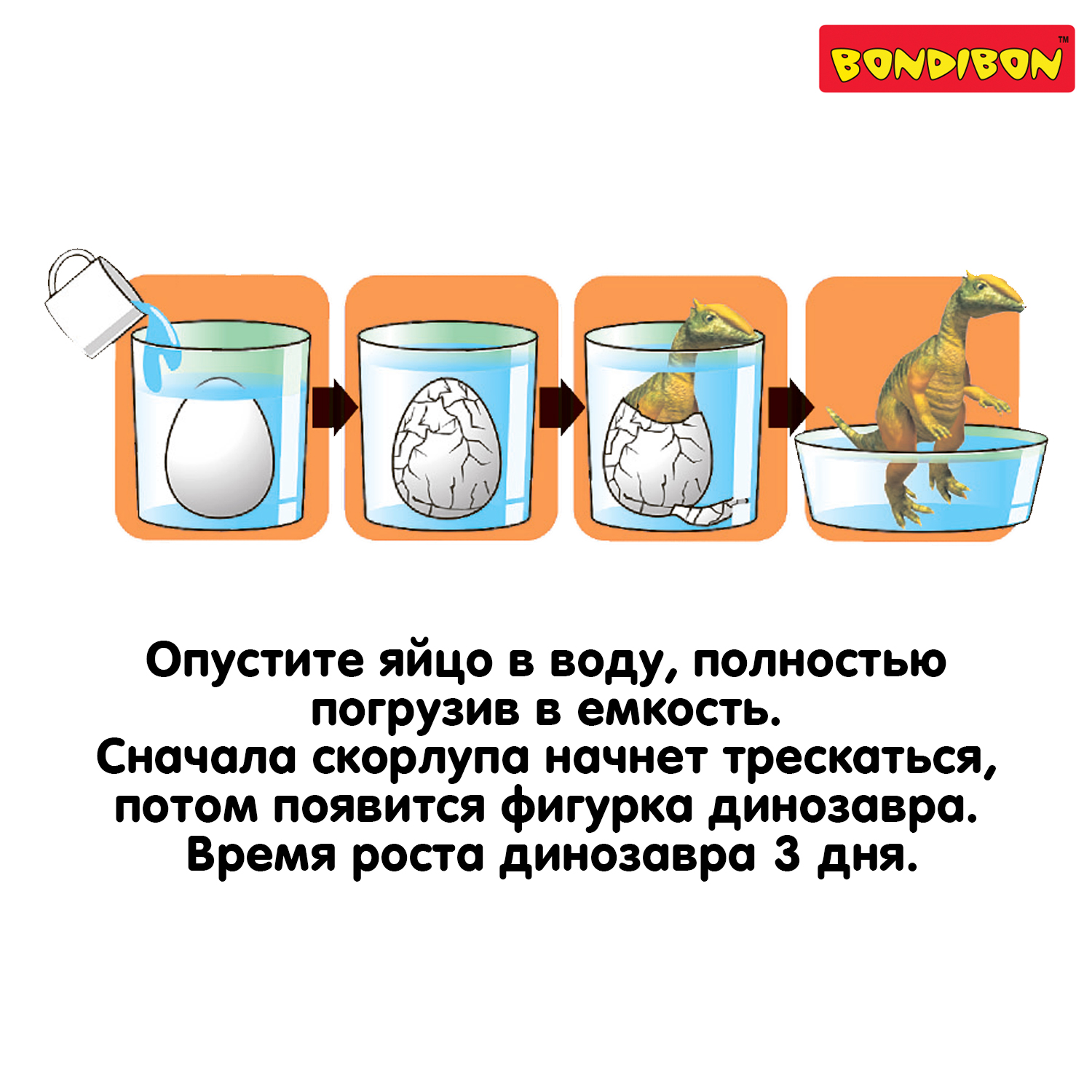 Набор для выращивания Bondibon - фото 4