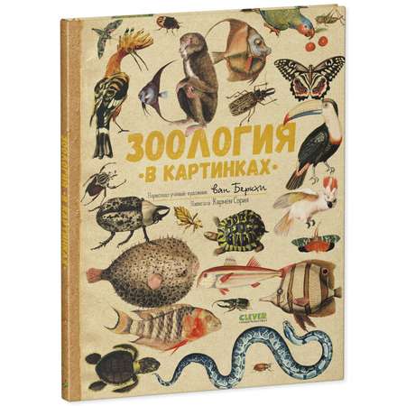 Книга Clever Зоология в картинках. Энциклопедия для детей