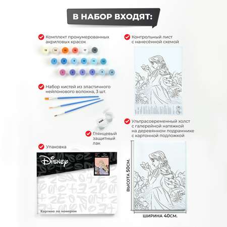 Набор для рисования Disney картина по номерам Герои Дисней холст 40*50