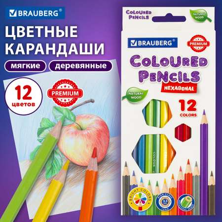 Карандаши цветные Brauberg набор 12 штук шестигранные грифель мягкий