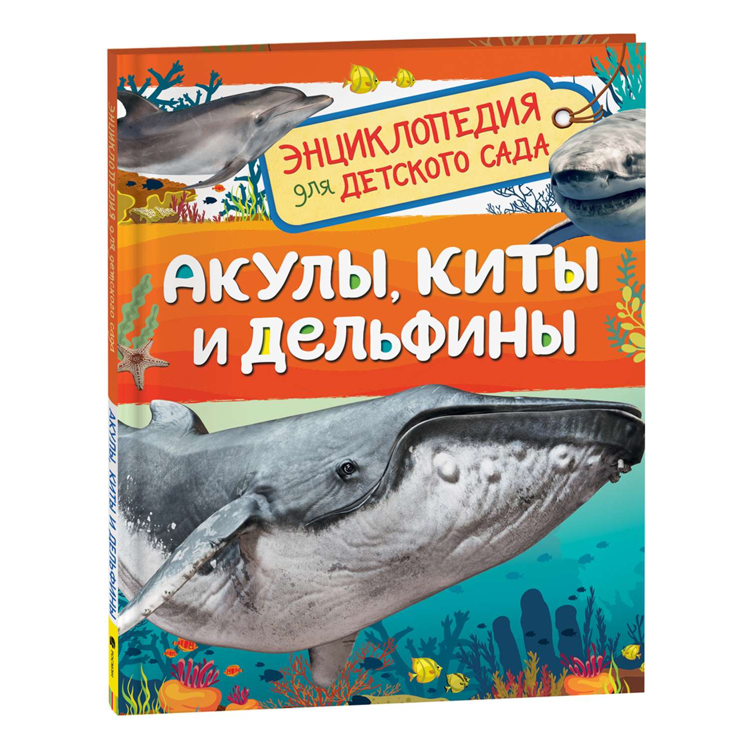 Книга Акулы киты и дельфины Энциклопедия для детского сада - фото 1