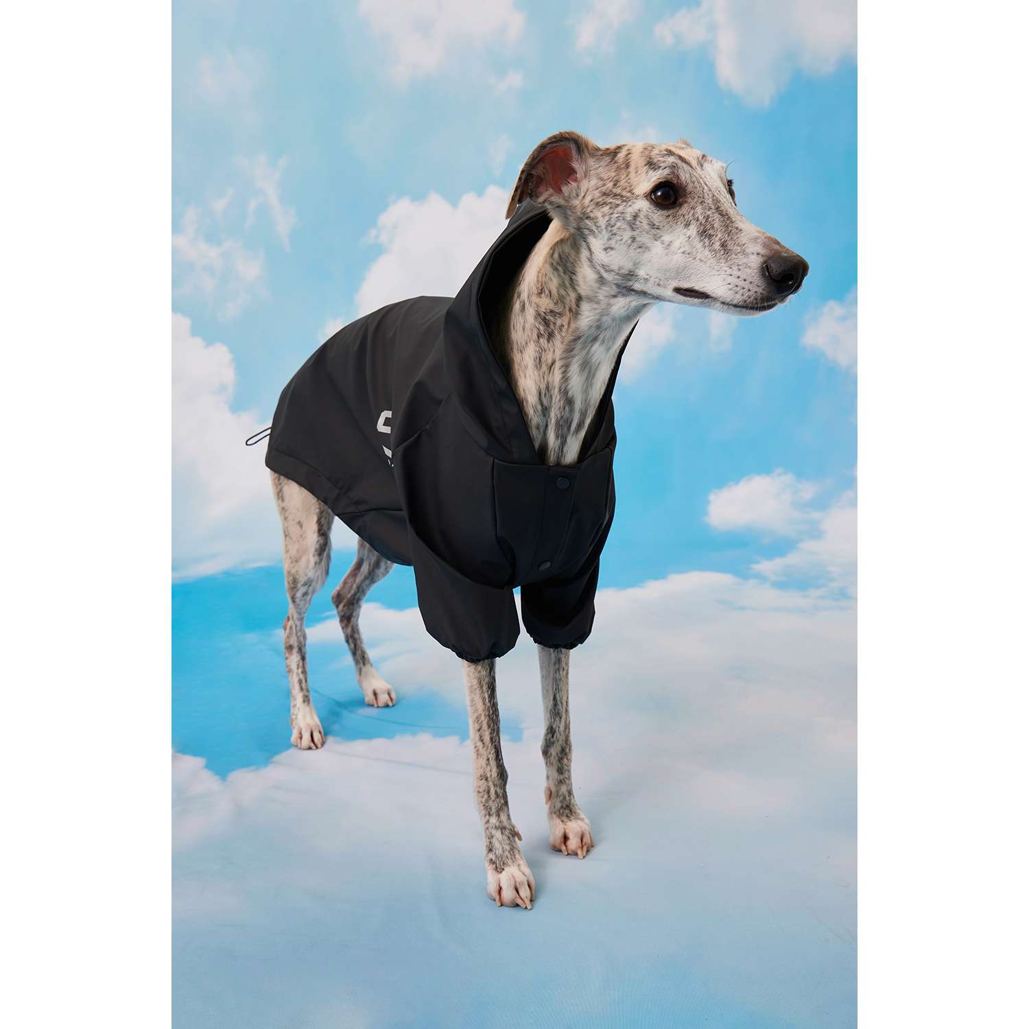 Дождевик-куртка для собак Zoozavr чёрный 65 - фото 10