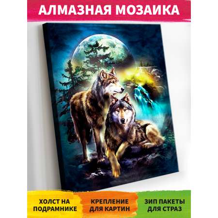 Алмазная мозаика Art on Canvas Лунная ночь в ассортименте