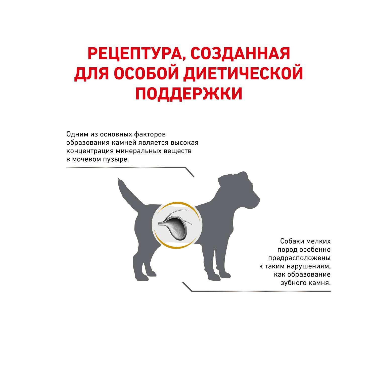 Корм для собак ROYAL CANIN Urinary S/O Small Doг USD 20 при мочекаменной болезни струвиты оксалаты маленьких пород 4кг - фото 3