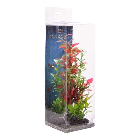 Растение для аквариума FAUNA Композиция-37 FIPP-0138