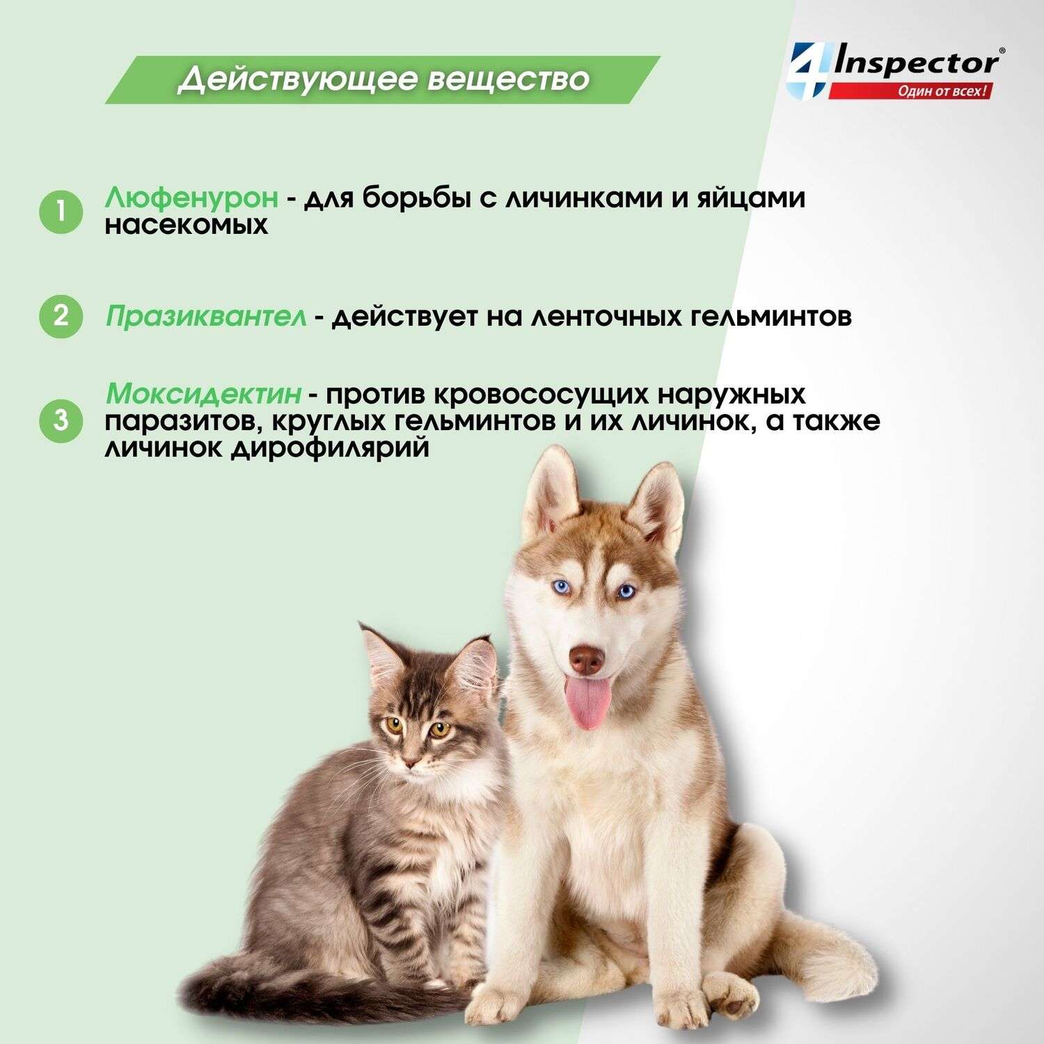 Таблетки для кошек и собак Inspector Quadro Tabs 2-8кг - фото 5