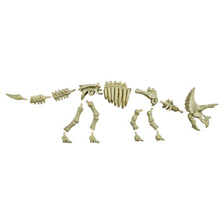 Набор Jurassic World Скелет базовый Трицератопс FTF09