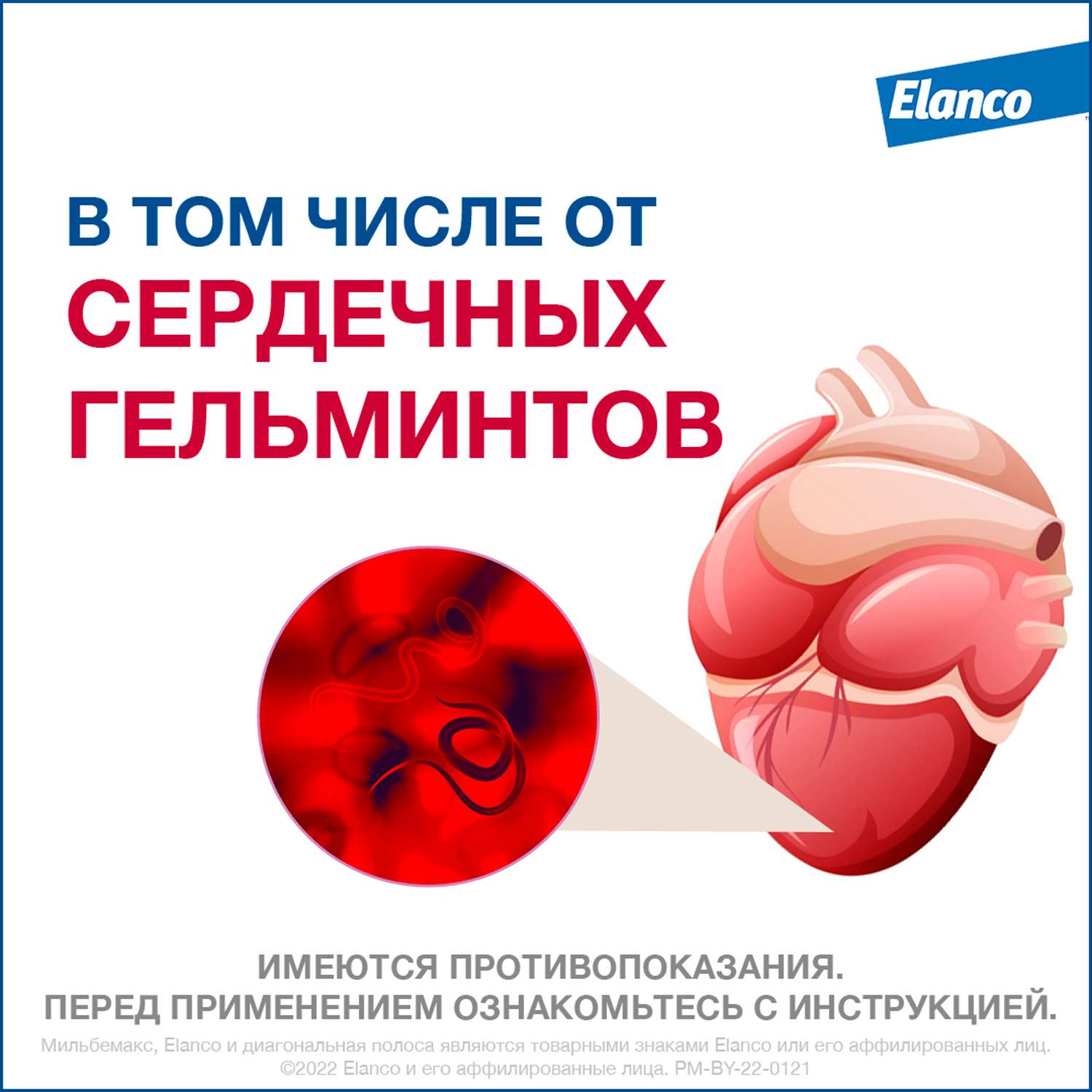 Антигельминтик для собак Elanco Мильбемакс крупных пород 2таблетки - фото 5