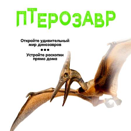 Набор для раскопок BONDIBON Динозавр птерозавр 3D скелет светящийся в темноте