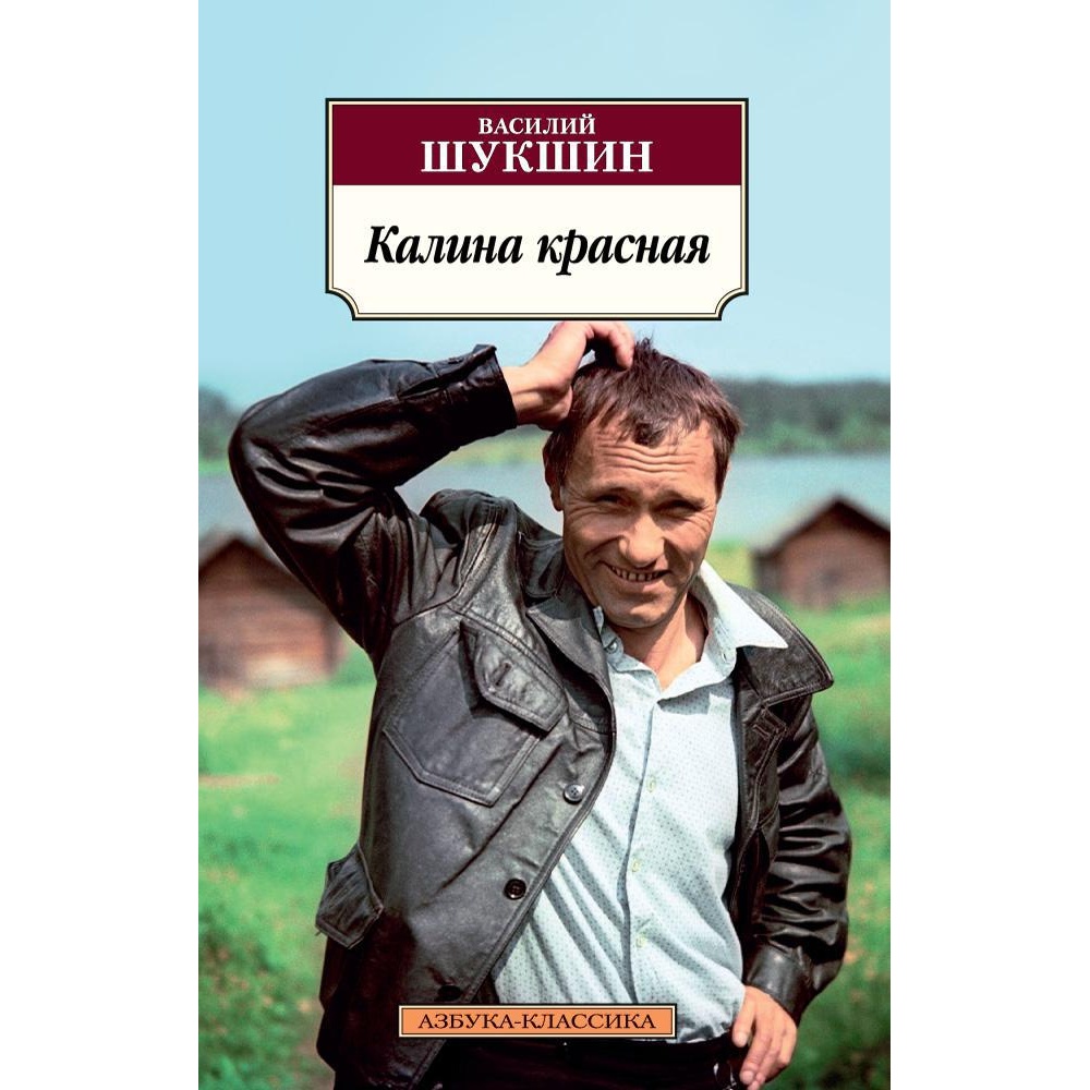 Книга АЗБУКА Калина красная - фото 1