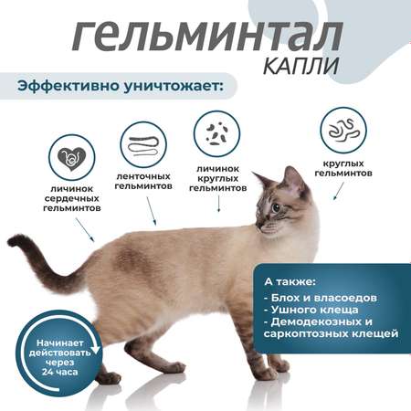 Капли для кошек Гельминтал до 4кг Spot-on от внутренних паразитов 0.4мл