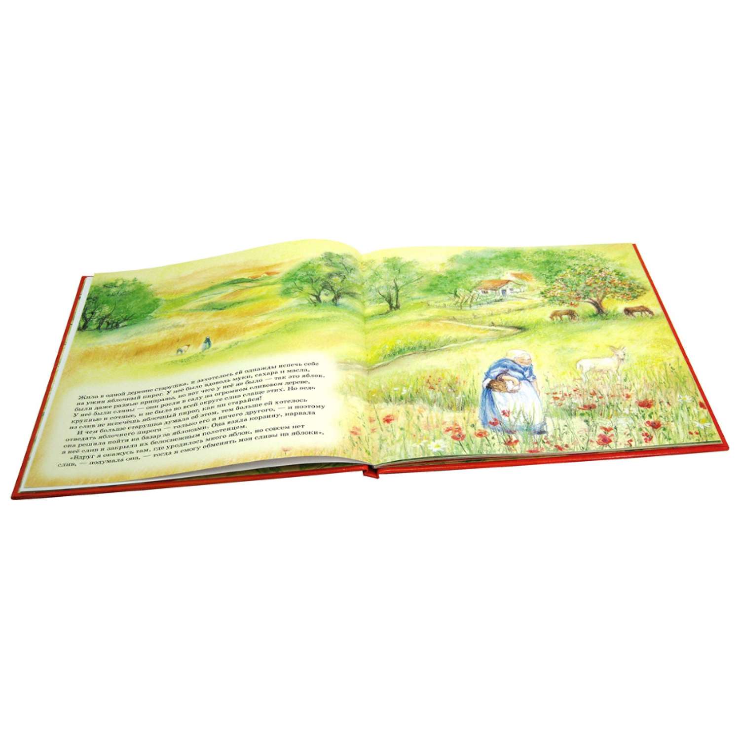 Книга Добрая книга Яблочный пирог. Иллюстрации Мэриан ван Зейл - фото 4