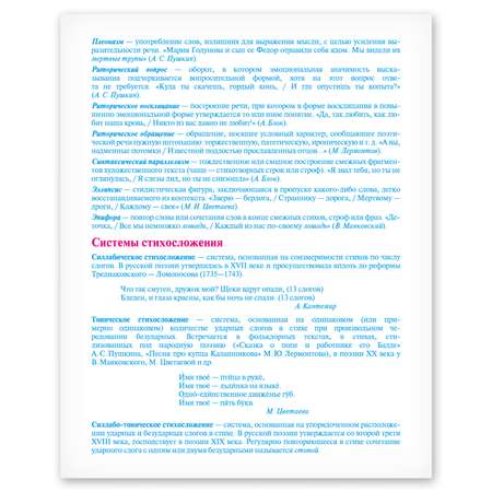 Тетрадь Полиграф Принт 48 лист. (Литература)