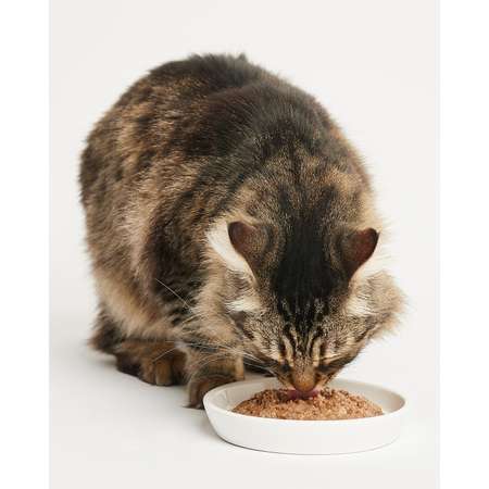 Корм для кошек Harty 100г паштет с ягненком для чувствительного пищеварения консервированный