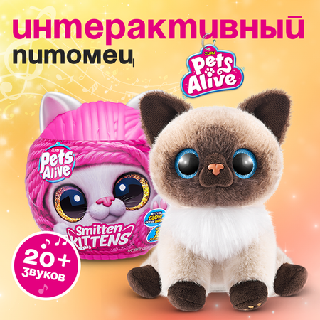 Игрушка сюрприз Zuru Pets Alive Ласковый котенок с аксессуарами