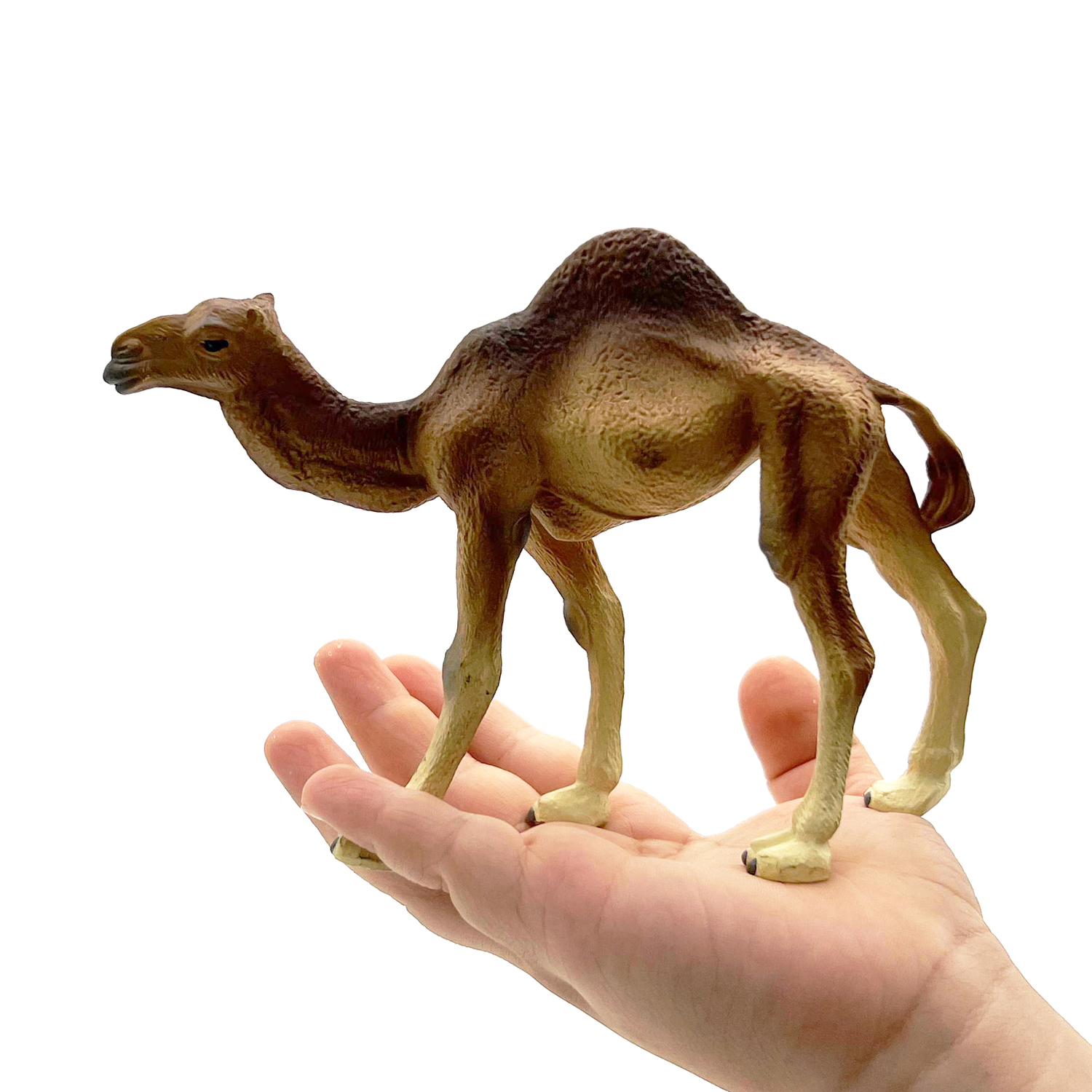 Фигурка животного Детское Время Одногорбый верблюд породы Дромадер - фото 2