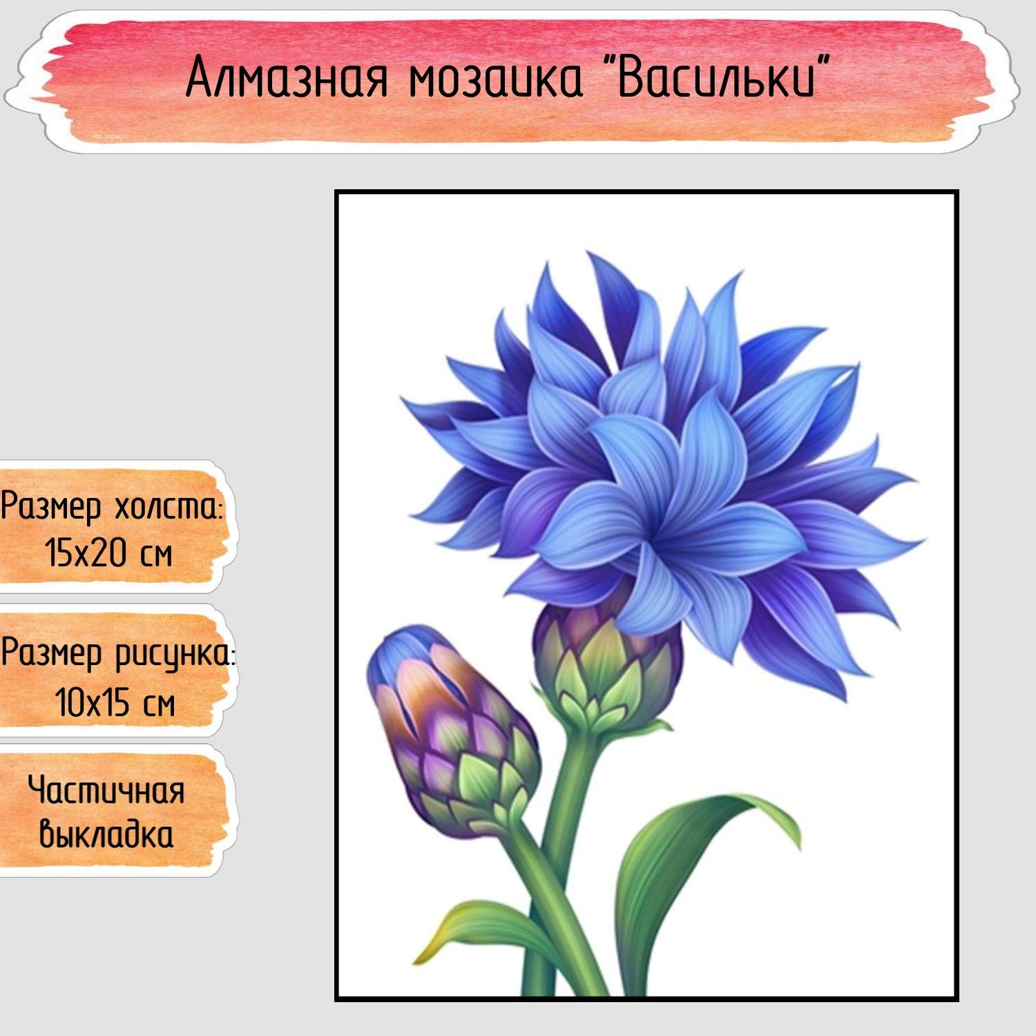 Васильки 15