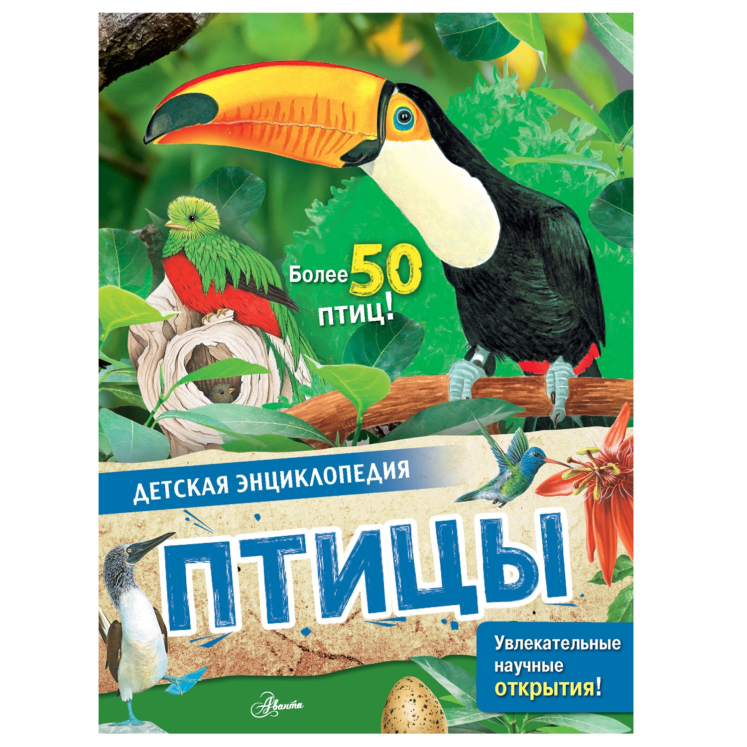 Энциклопедия АСТ Детская энциклопедия Птицы купить по цене 352 ₽ в  интернет-магазине Детский мир