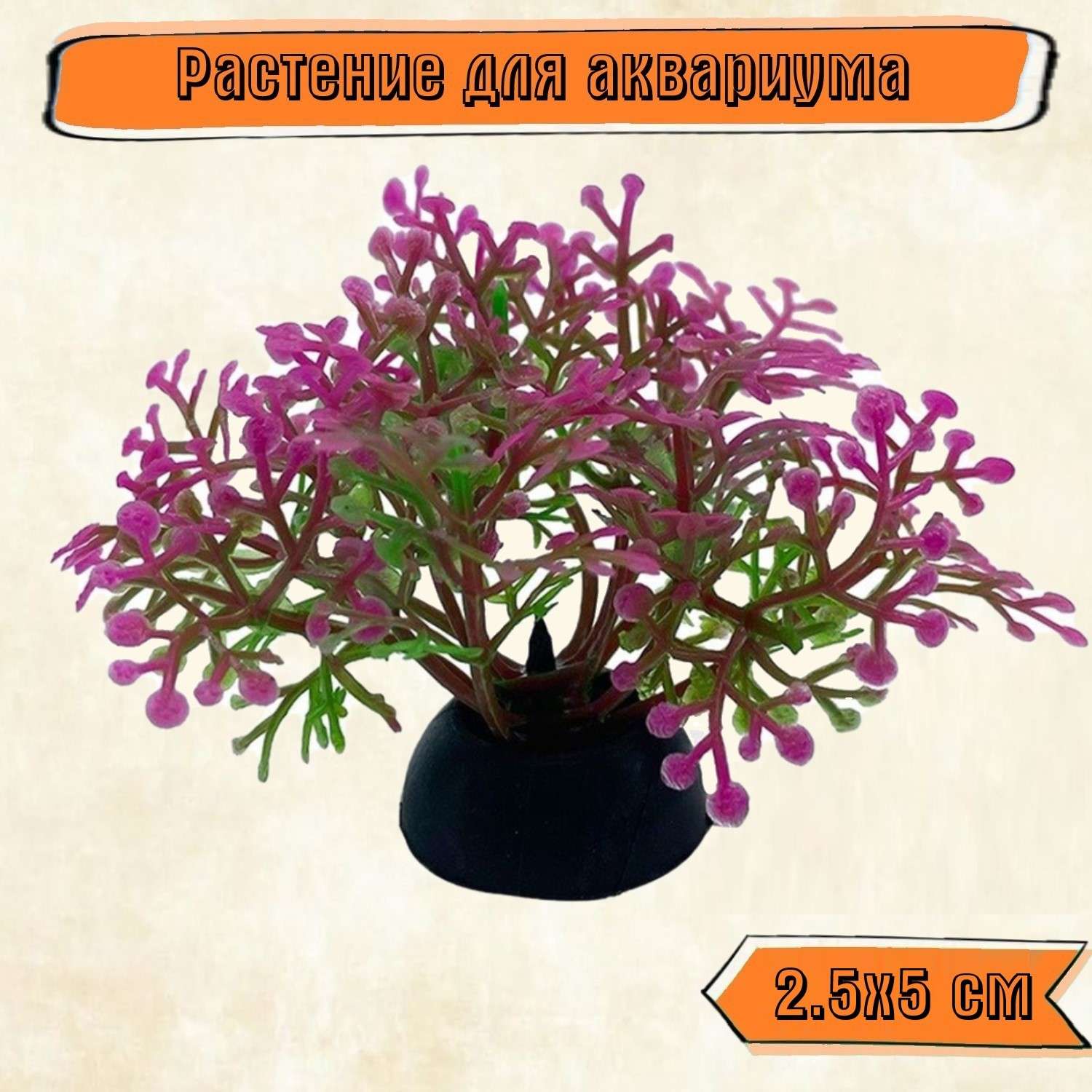 Аквариумное растение Rabizy кустик 2.5х5 см - фото 1
