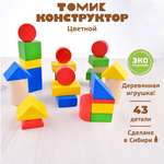 Конструктор деревянный детский Томик Цветной 43 детали 6678-43