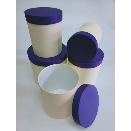 Набор подарочных коробок Cartonnage Набор из 5 круглых Радуга фиолетовый бежевый