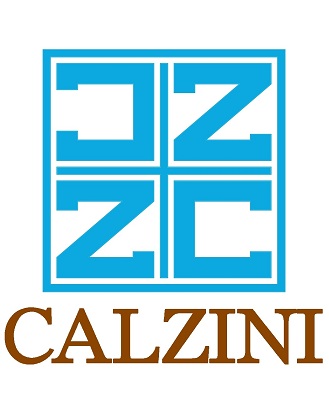 Calzini