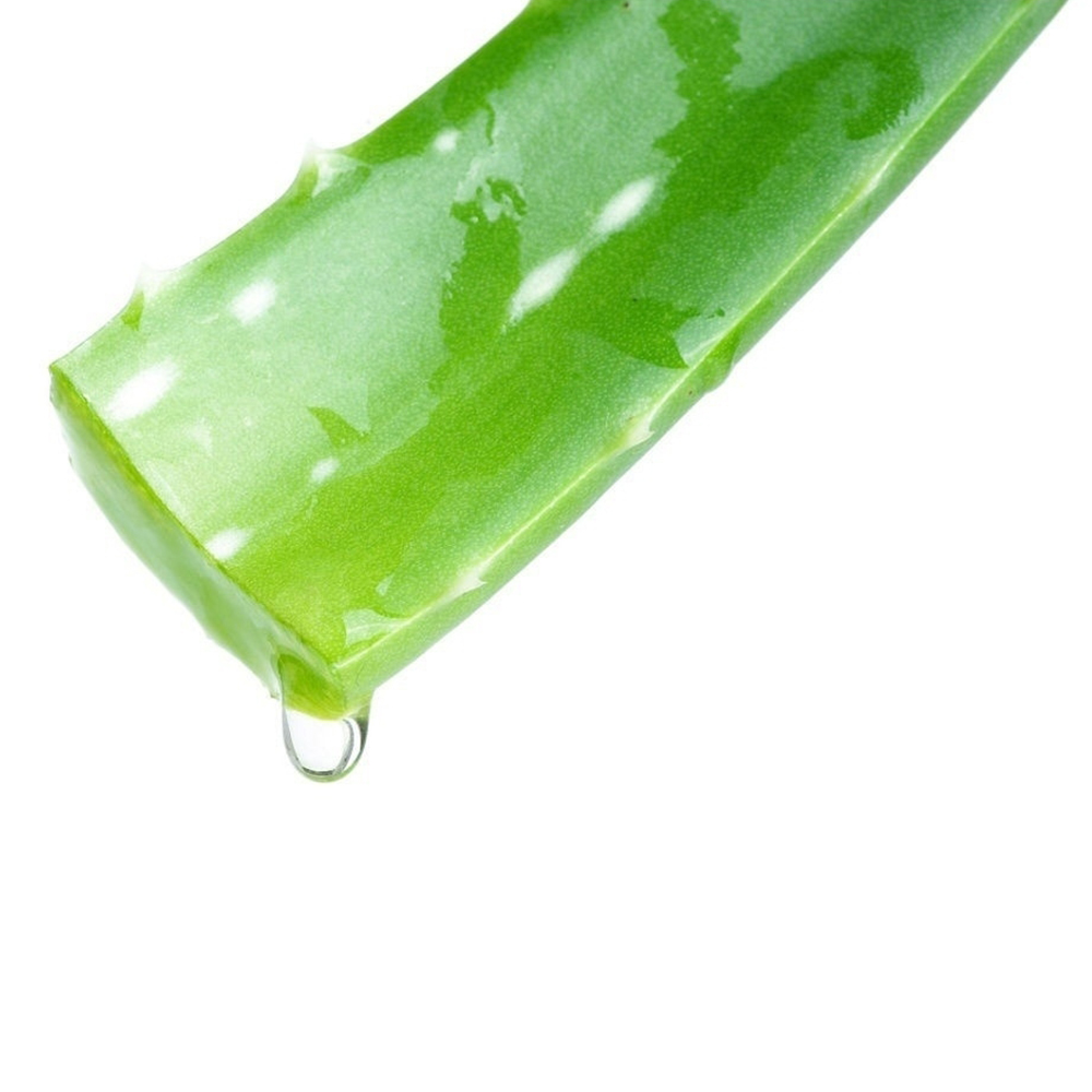 Минеральный кристалл Deonat Дезодорант Кристалл ДеоНат 100 гр с соком алое 1 шт стик зеленый футляр плоский twistup - фото 2