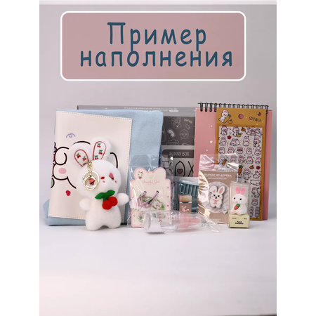 Подарочный бокс для девочки iLikeGift зайчик