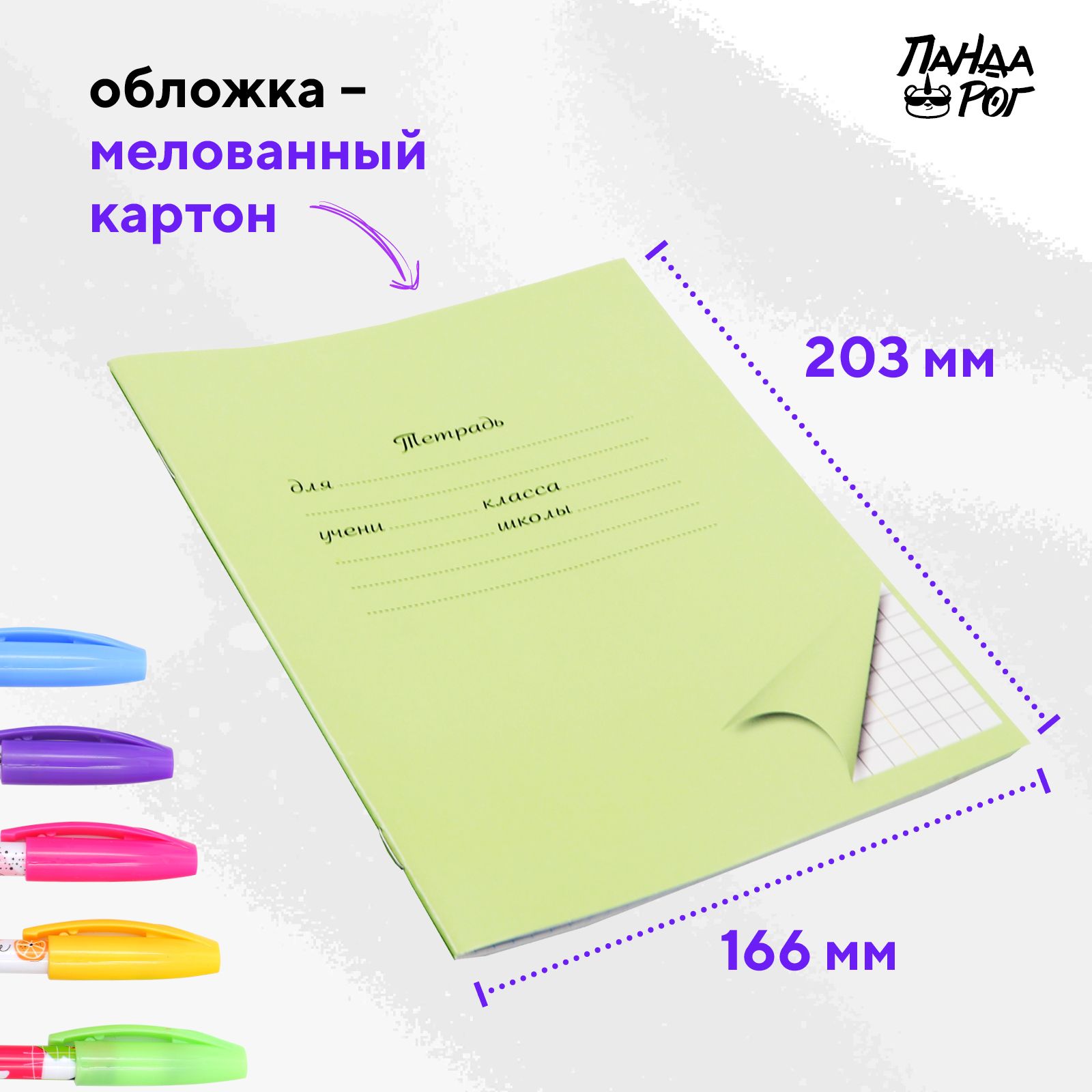 Тетради школьные в клетку ПАНДАРОГ 24 л картонная обложка набор 10 шт зеленые - фото 5