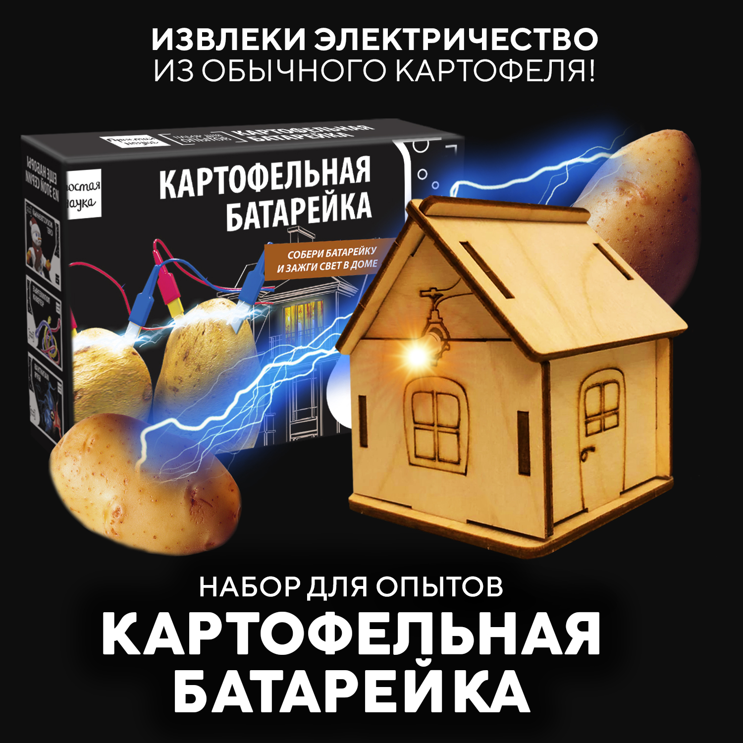 Набор для опытов для детей Простая наука Картофельная батарейка с игровым  элементом в комплекте