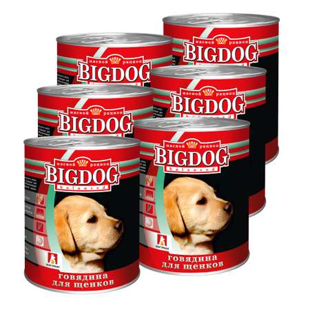 Корм влажный Зоогурман Big Dog Говядина Щенки 850 г х 6 шт.