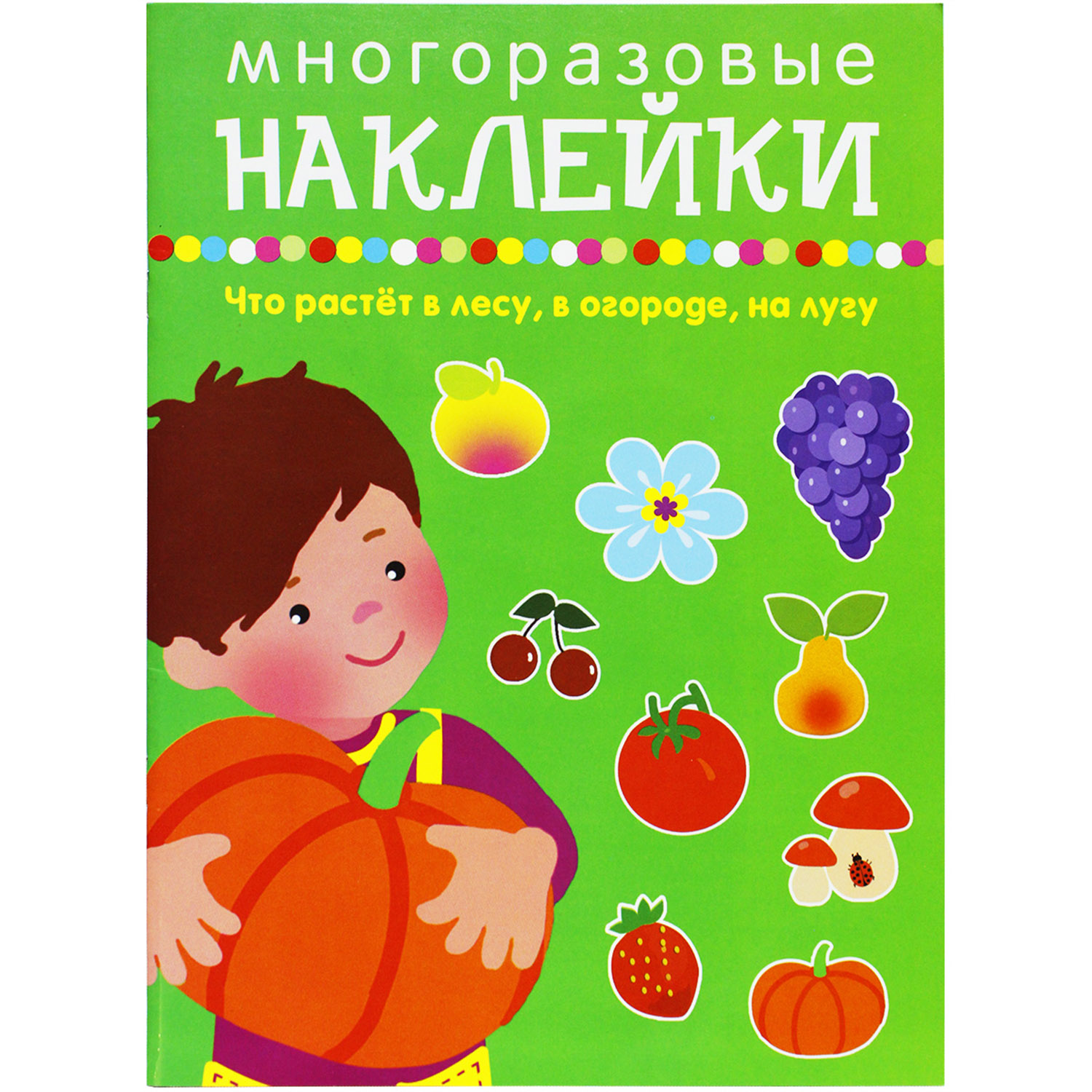 Книга с наклейками Искатель Что растет в лесу в огороде на лугу - фото 1