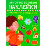 Книга с наклейками Искатель Что растет в лесу в огороде на лугу