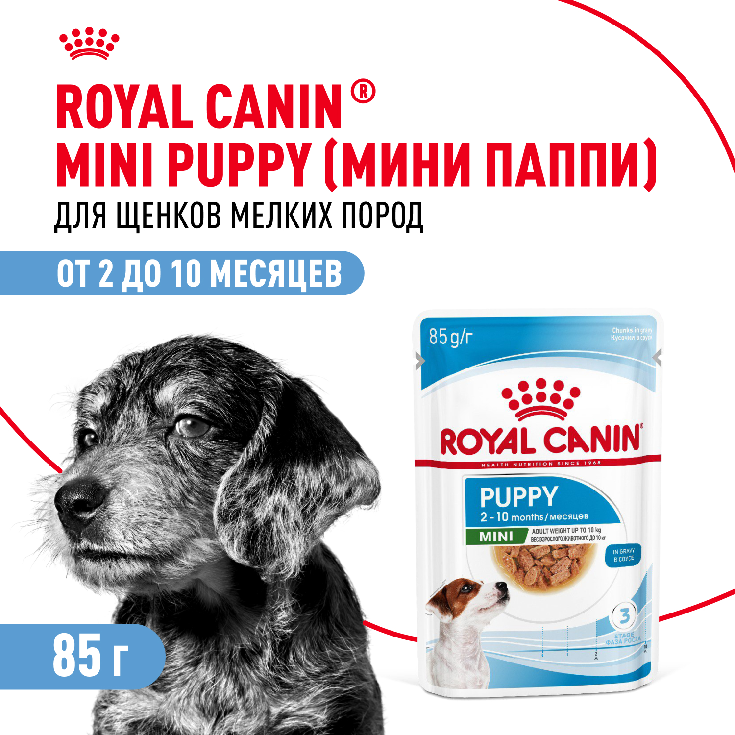 Корм для щенков ROYAL CANIN Mini Puppy мелких пород до 10 месяцев кусочки в соусе пауч 85г - фото 1