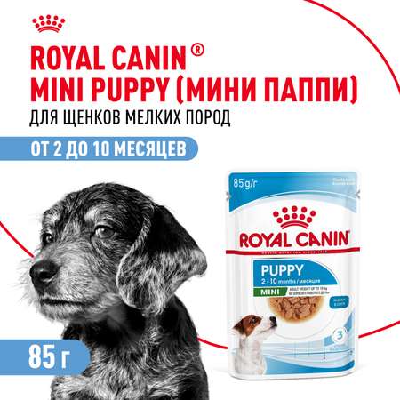 Корм для собак ROYAL CANIN 0.085 кг мясо (для активных)