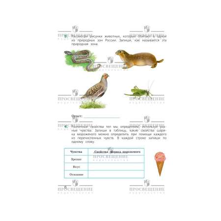 Пособия Просвещение Готовимся к Всероссийской проверочной работе Окружающий мир 4 класс