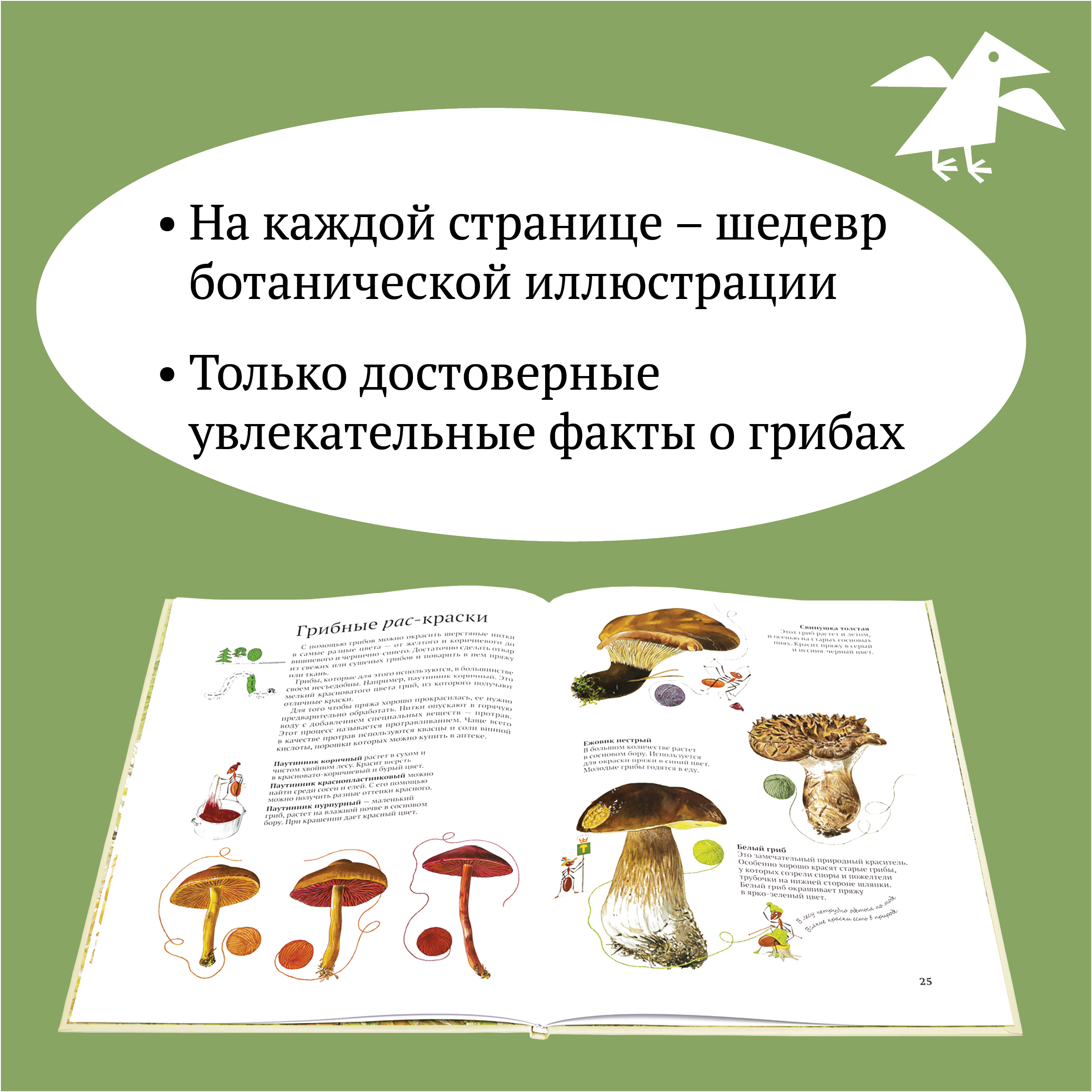 Книга ALBUS CORVUS Софи в мире грибов - фото 3