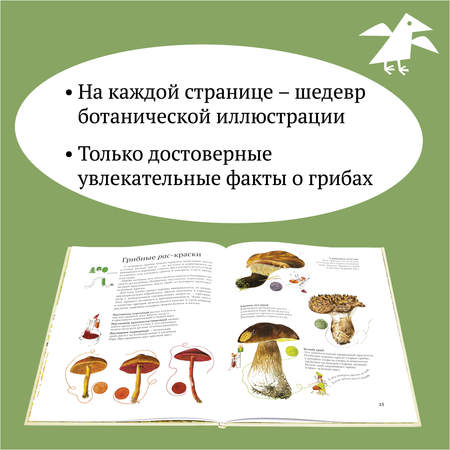Книга ALBUS CORVUS Софи в мире грибов