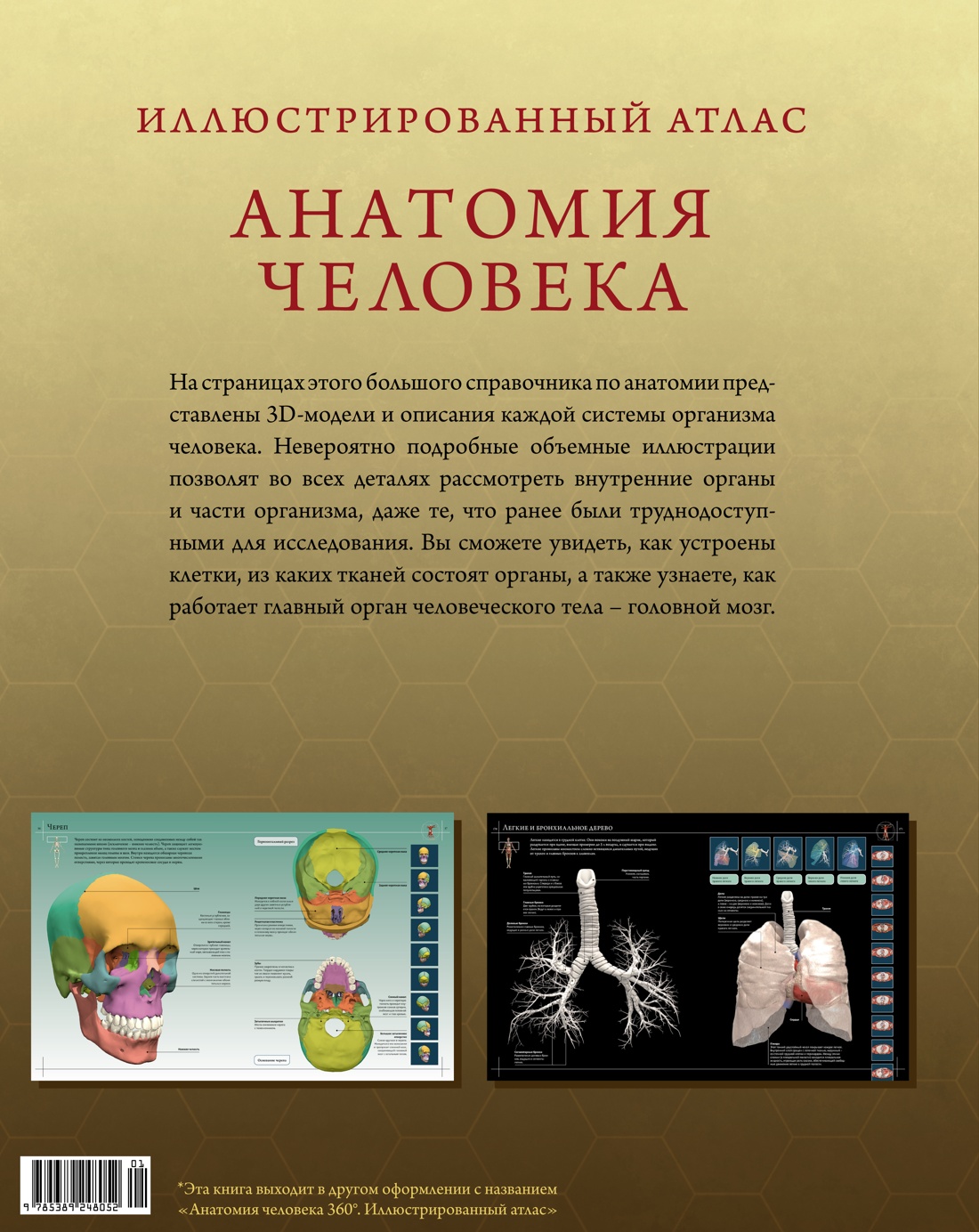 Книга Махаон Иллюстрированный атлас. Анатомия человека - фото 12