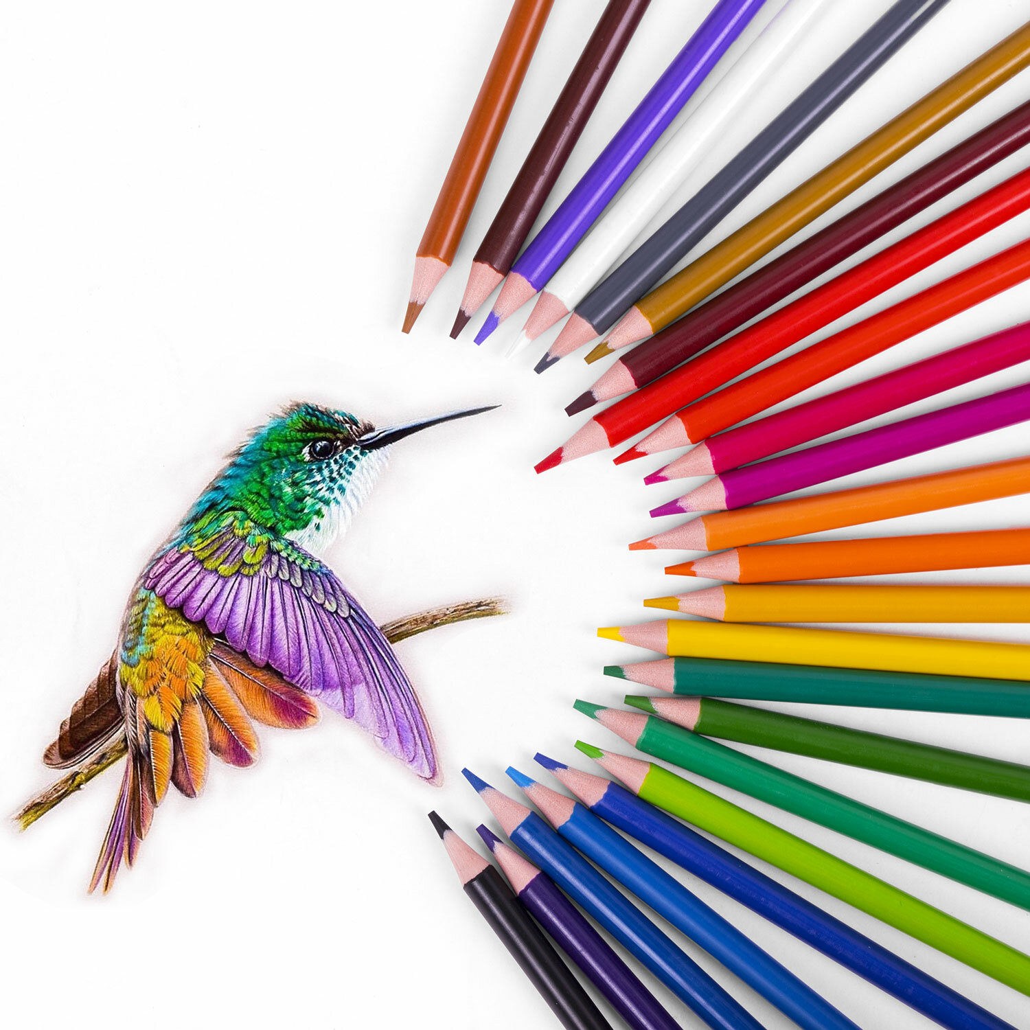 Карандаши цветные Brauberg для рисования набор 24 штуки мягкие - фото 7