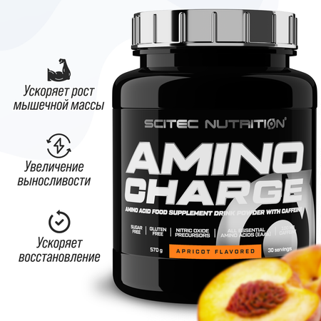Bcaa Scitec Nutrition Amino Charge 570 г Абрикос