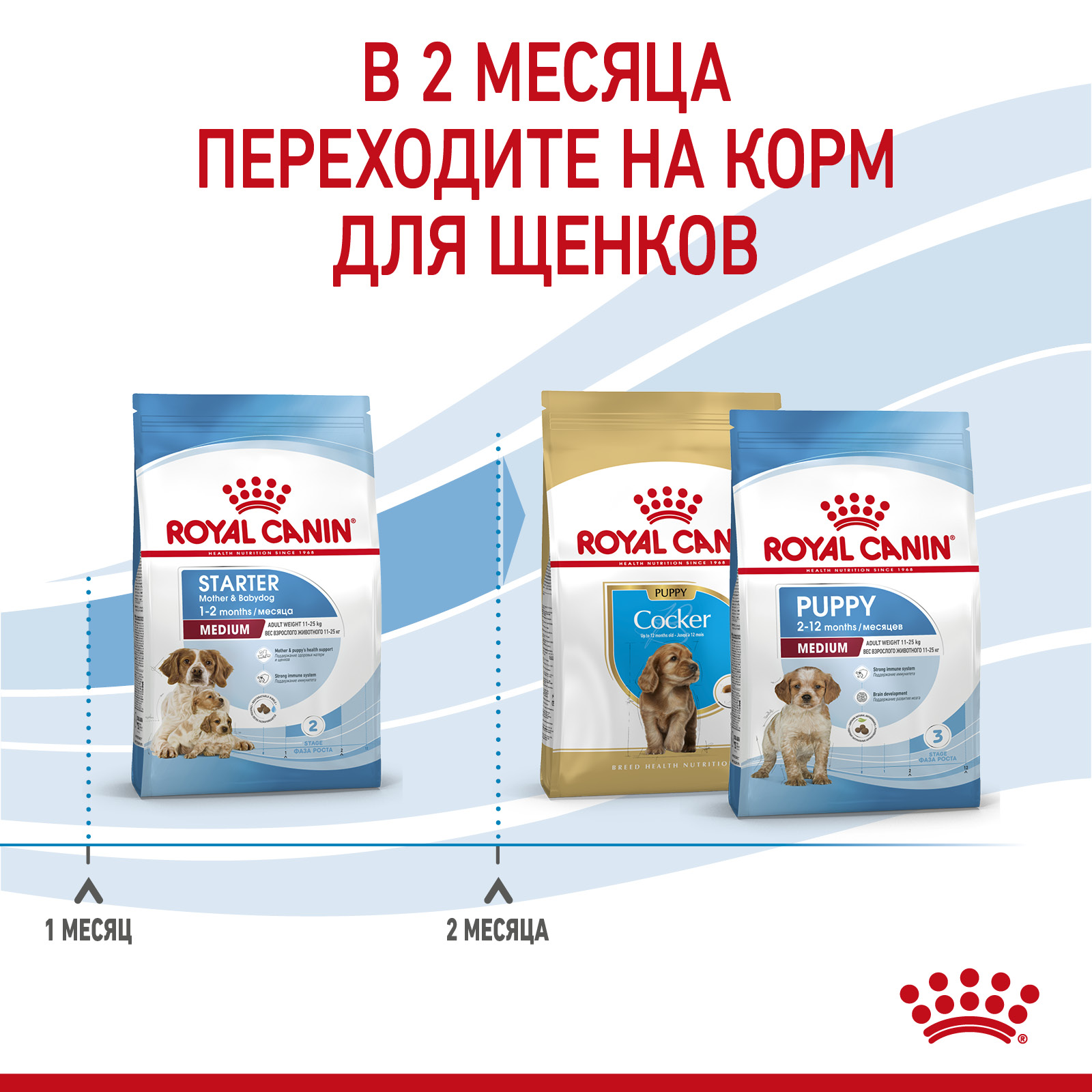 Сухой корм для собак ROYAL CANIN 4 кг (для беременных и кормящих, полнорационный) - фото 5