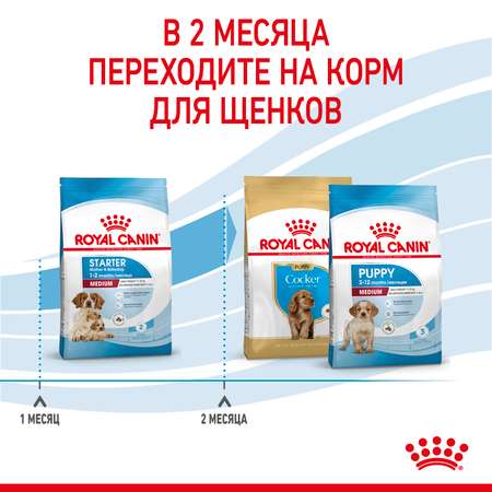 Корм для щенков беременных и кормящих Royal Canin 4кг Medium Starter средних сухой