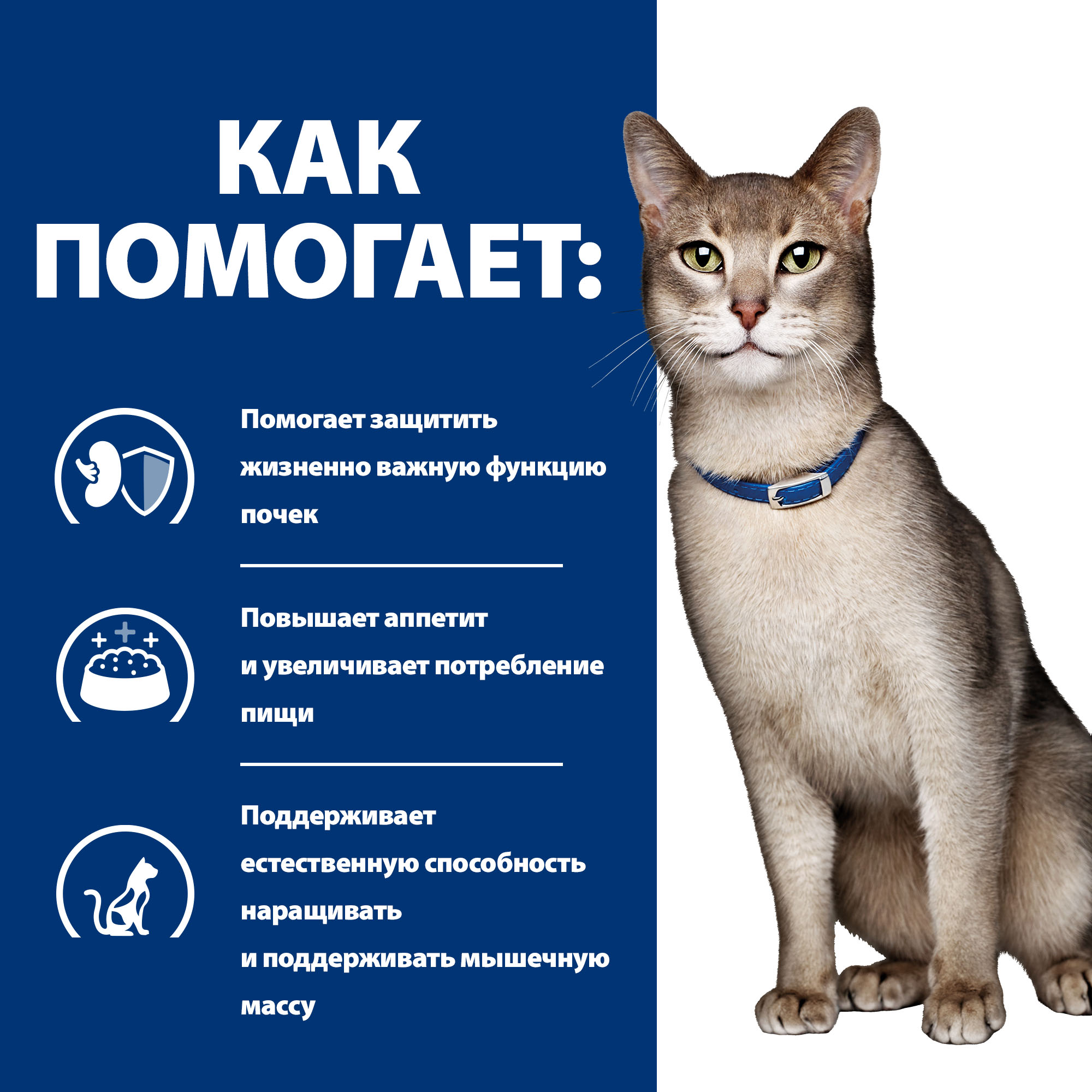 Корм для кошек HILLS 3кг Prescription Diet k/d при хронической болезни почек с курицей сухой - фото 5
