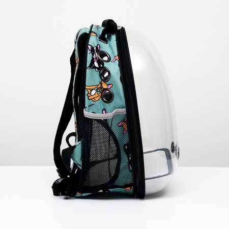 Рюкзак для переноски животных Пижон прозрачный «Силуэты»