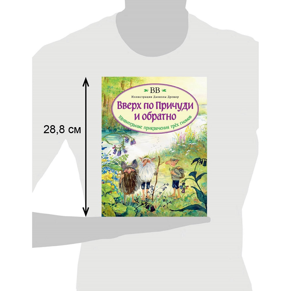 Дeнис Уоткинс-Питчфорд / Добрая книга / Вверх по Причуди и обратно. Удивительные приключения трех гномов / илл. Даниэлы Дрешер - фото 12