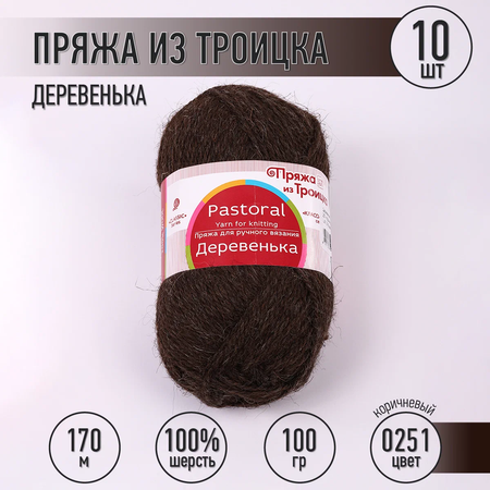 Пряжа Пряжа из Троицка Деревенька (100% шерсть) 10х100г/170м цвет коричневый